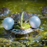 Slávnostné otvorenie 95. sezóny Zoo Praha